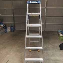 Werner 6 Ft Ladder 