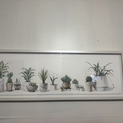 Decorative Wall Art - Plants