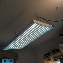 2 Fish Tank Lights