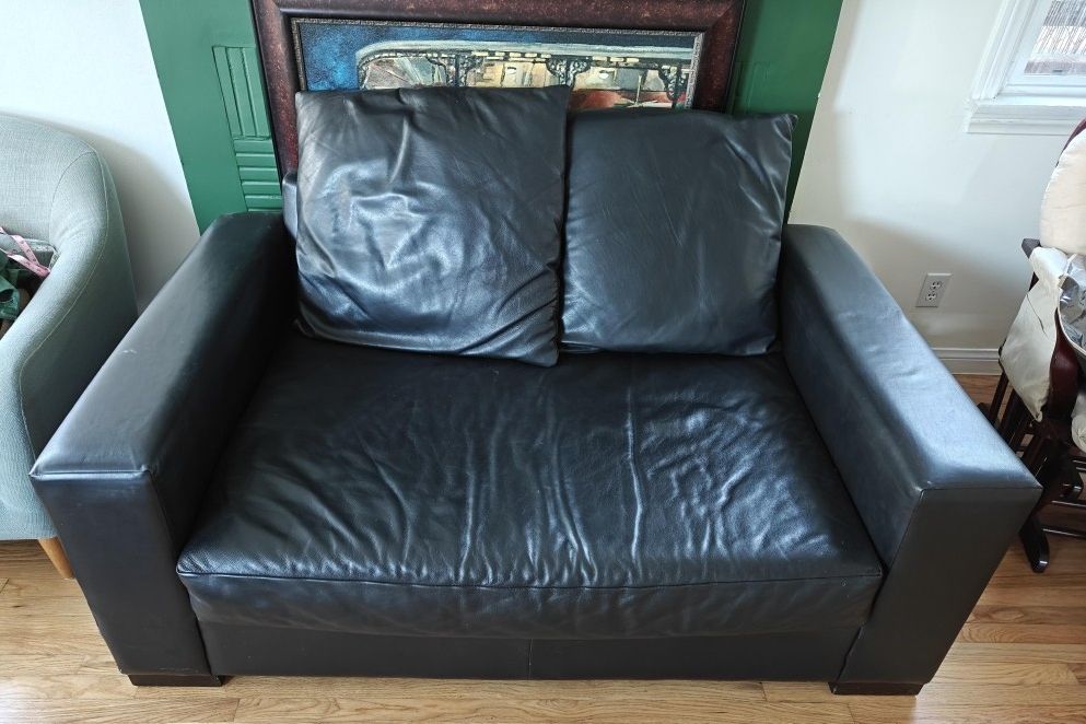 Free Leather Couch