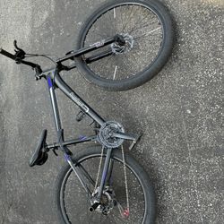 Mountain Bike
