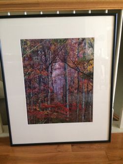 Fall framed Art! 29" X 35"