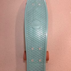 Penny Board 22in Skateboard