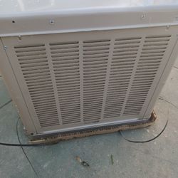 Swamp Cooler Champion 