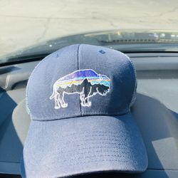 PATAGONIA SNAP BACK TRUCKER CAP