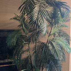 Artificial Palm Plant