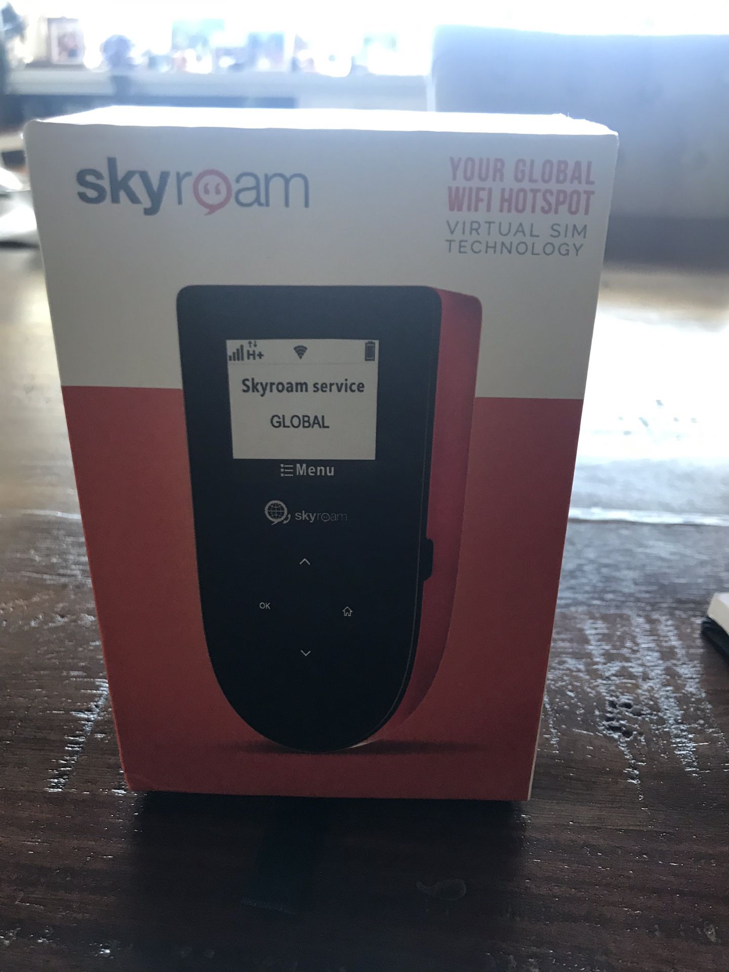 Skyroam mobile internet