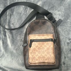 coach bag brown and light brown
