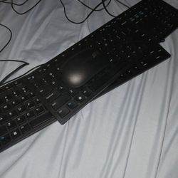 2 Basic Dell Keyboards 5$ Each.  One Mouse 5$