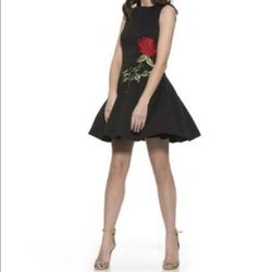 Alexia Admor Rose Dress 🥀
