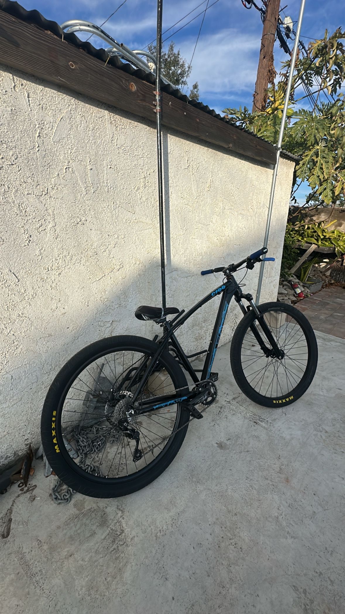 c100 collective 29”