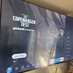 TCL 65” 4K Smart TV (Fire TV) – Works Great