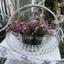 Metal Scrolly Flower Basket