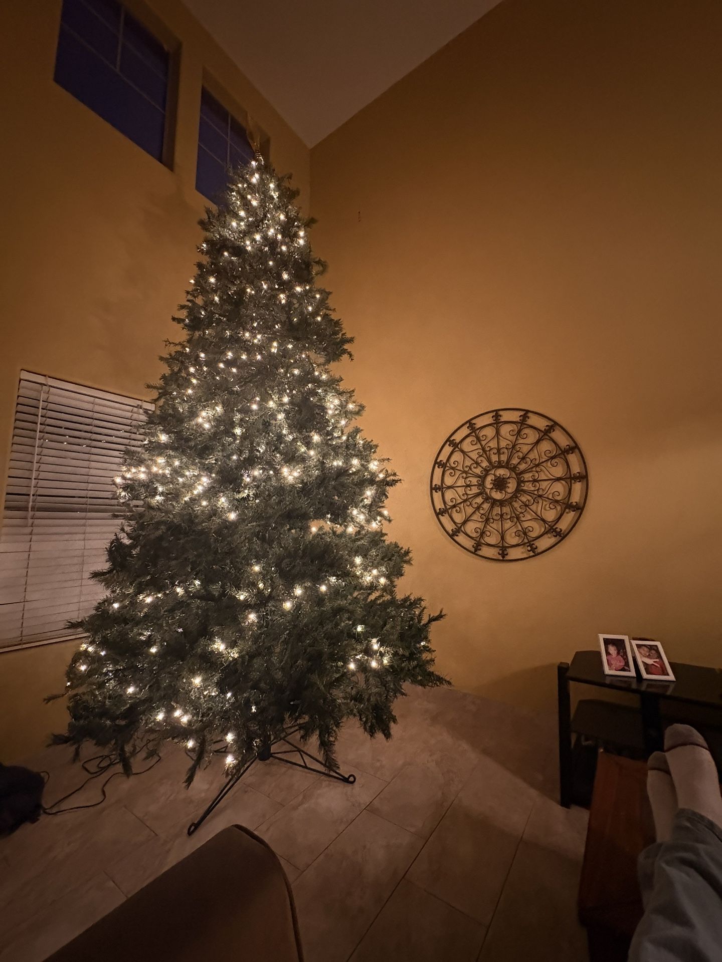 BIG CHRISTMAS TREE!!!!!!