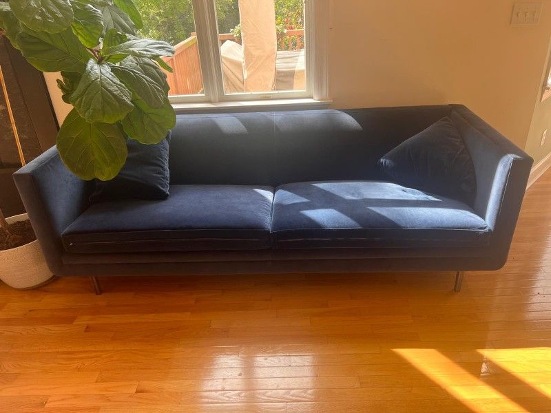 Blue Velvet Couch - From ABC Carpet Home