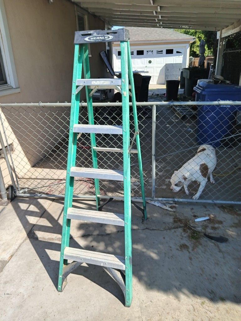 Werner 6 Ft Ladder