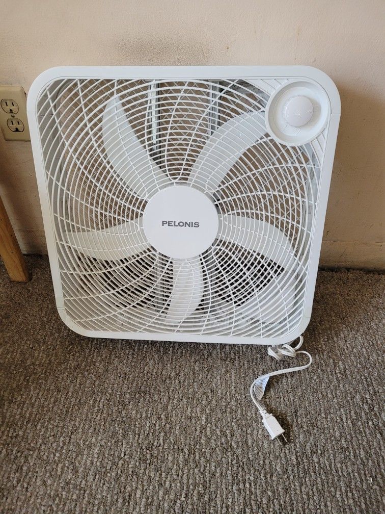 Fan