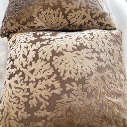 Decorative Pillows