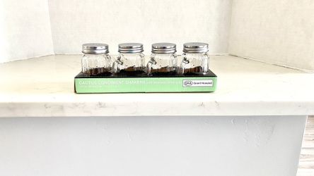 Cactus Glass Condiment /Spice Shakers 