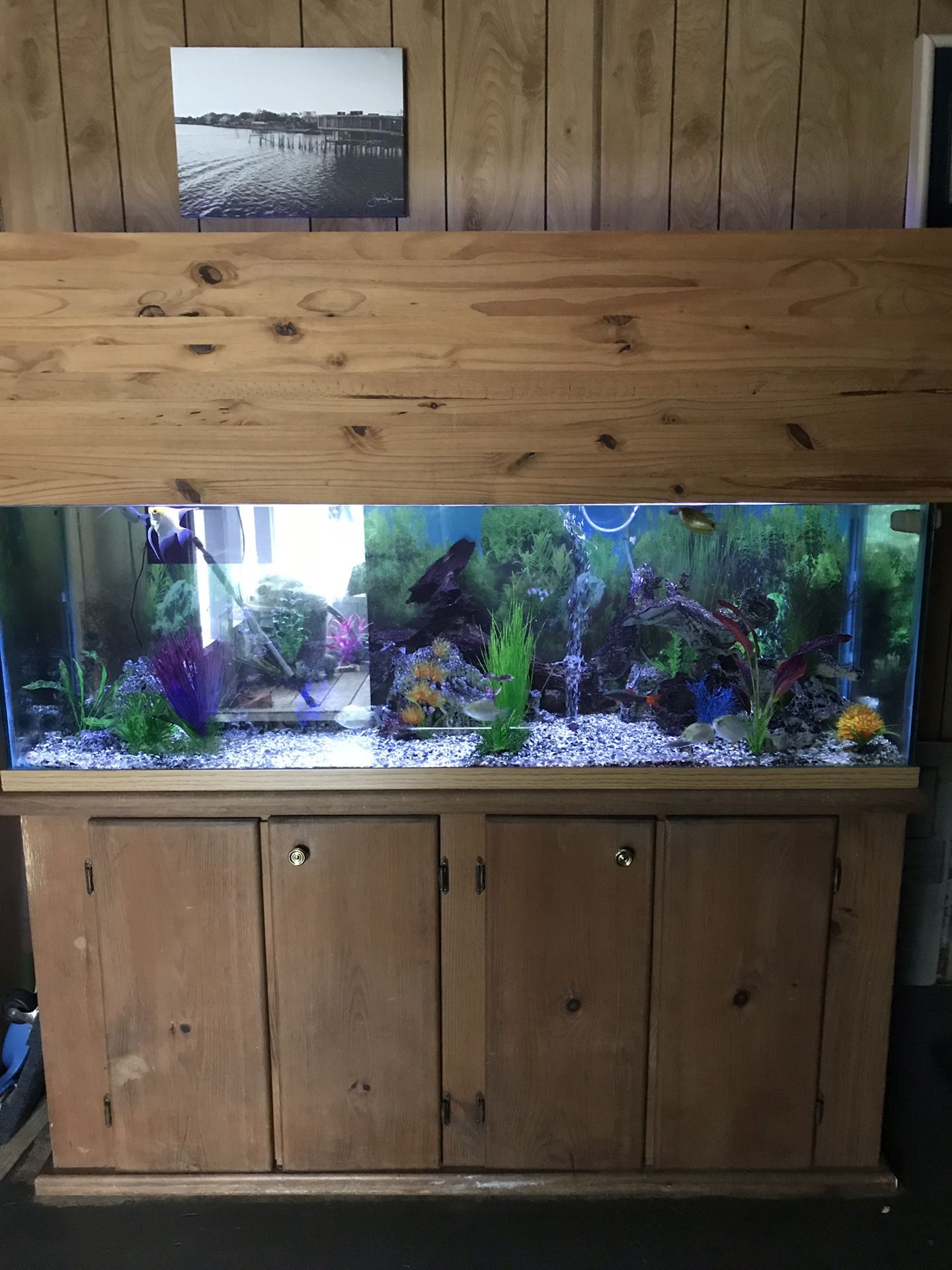 100 gallon aquarium stand and canopy for Sale in Green Cove Springs, FL