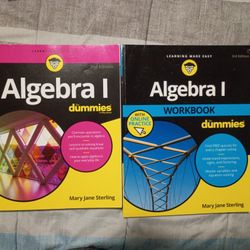 Algebra 1 For Dummies/ Plus Workbook 