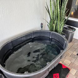 Cold Plunge Tub