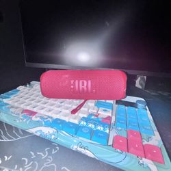 JBL Speaker Flip 6 