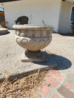Cement Planter