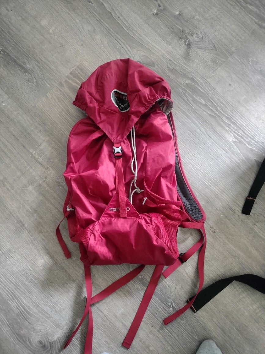Osprey Day Pack