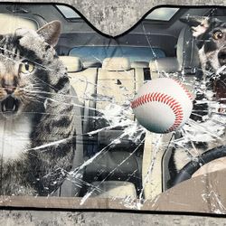 Windshields Sunshade 