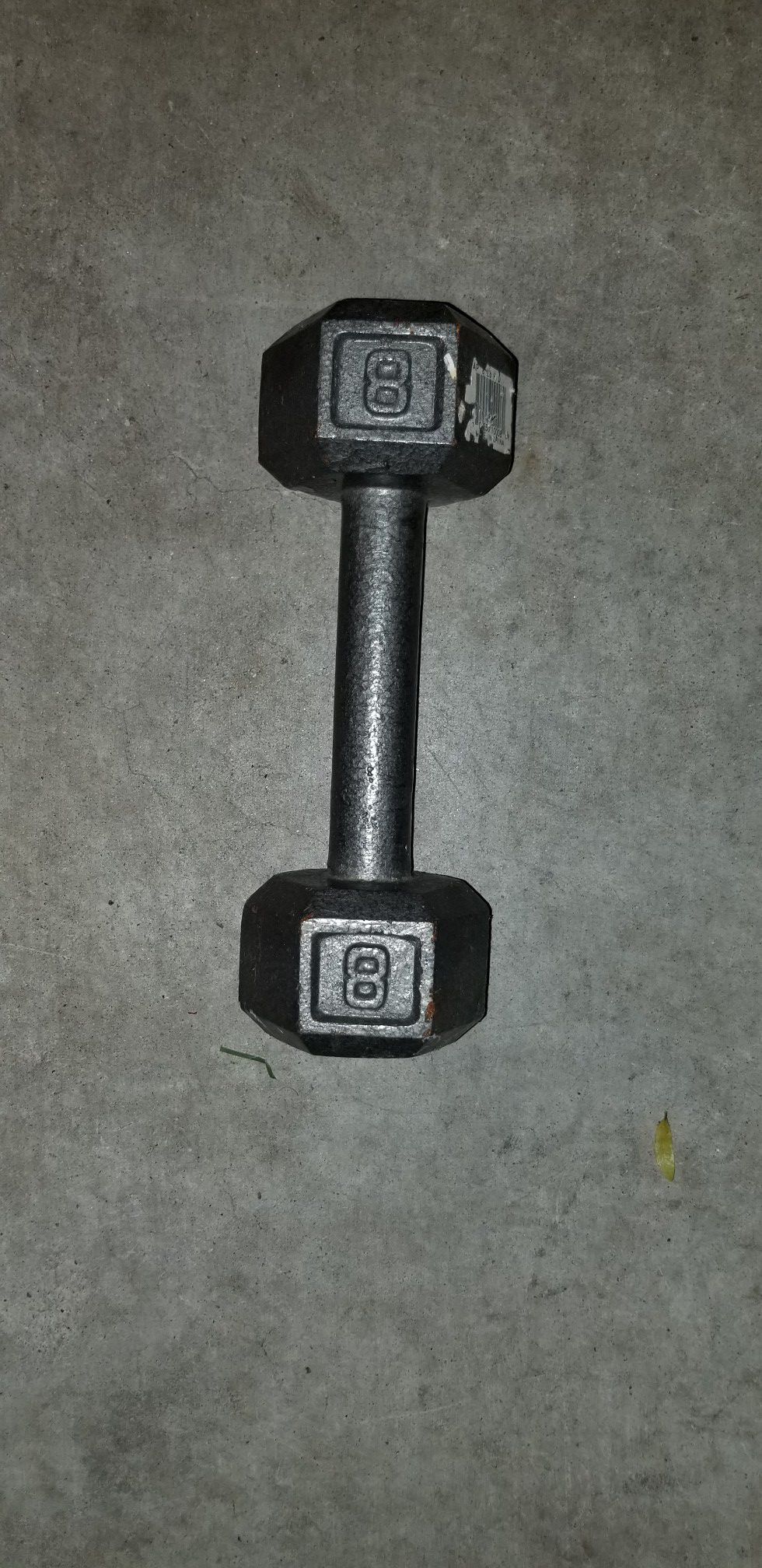 One - 8 Pound Hex Dumbbell