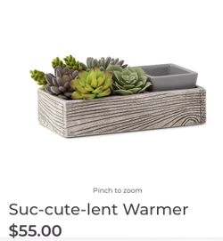 New Scentsy Succulent Warmer