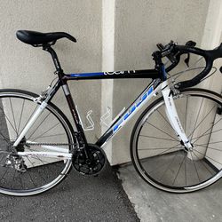 Fuji Team Pro Bike 