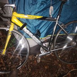 yello Giant road bike