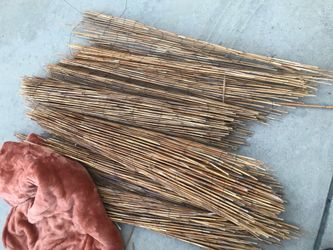 Bamboo fencing