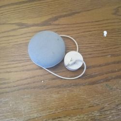 Google Home/ Alexa