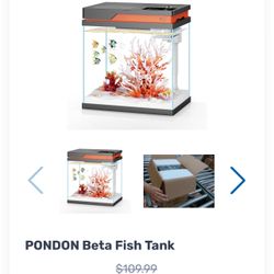 Beta Fish Tank