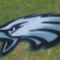 SUPERBOWL lawn logos,not Eagles Jersey