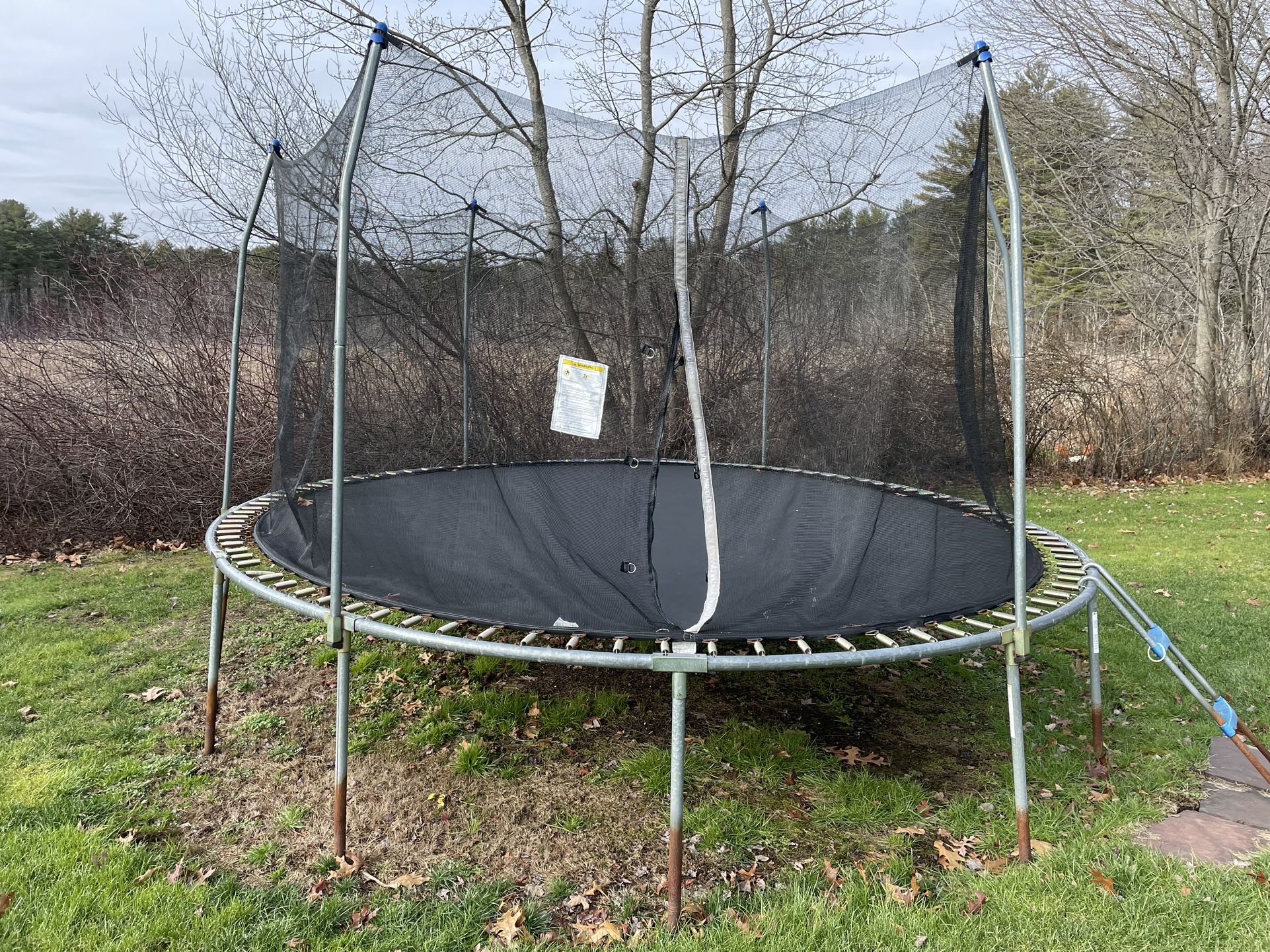Trampoline 