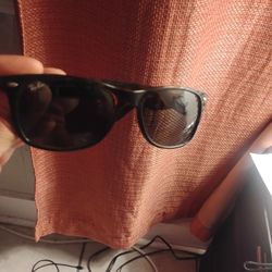 RayBan Polarized Sunglasses Tortoise
