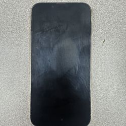 iPhone 13 Pro 256 Gb