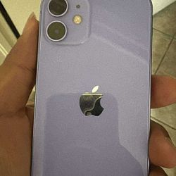 iPhone 12 Mini