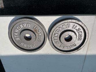 Standard 25 lb Cast Iron Weight Plates Pair