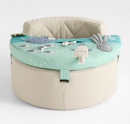 Crate and Barrel activity chair