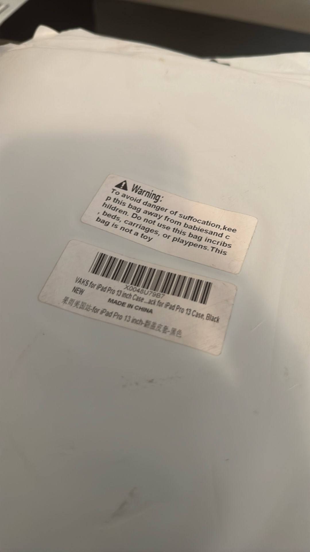 iPad Pro 13 Inch Case