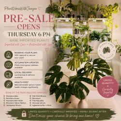 PRE-SALE for Rare Imported Plants 🌿💚