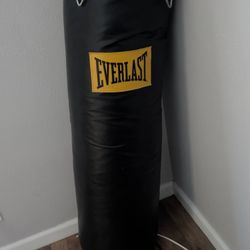 Everlast punching bag