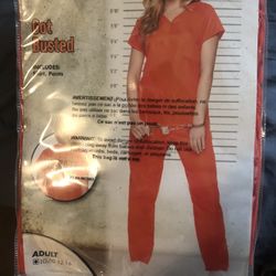 Halloween Got Busted Costume 