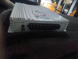 Amp