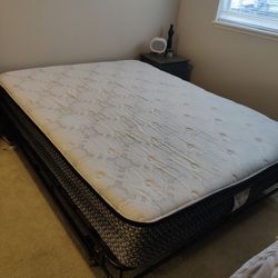 Sealy Essentials Queen Pillow Top Medium/Firm Mattress